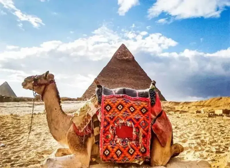 Viaje El Cairo Sharm El Sheikh Y Crucero Por El Nilo